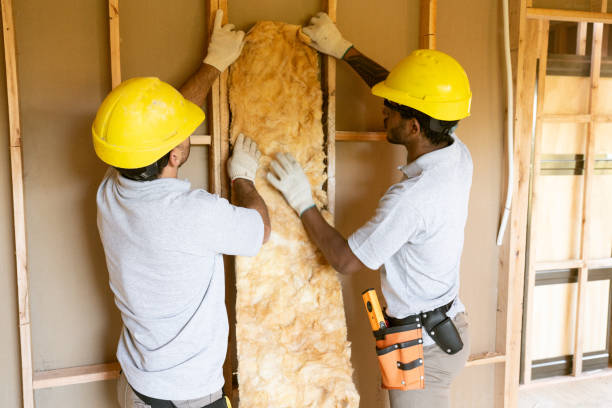 Best Soundproof Insulation Installation  in Griswold, IA