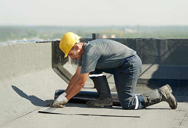 Best Insulation Contractor Near Me  in Griswold, IA