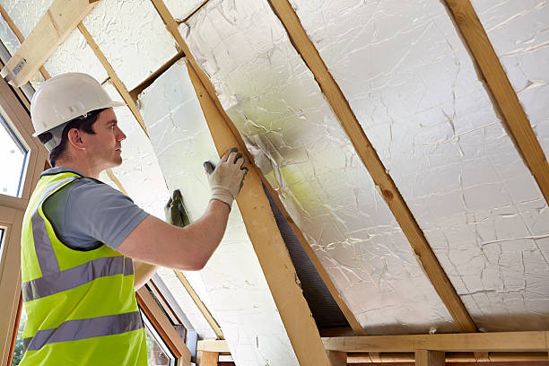 Best Insulation Repair Services  in Griswold, IA